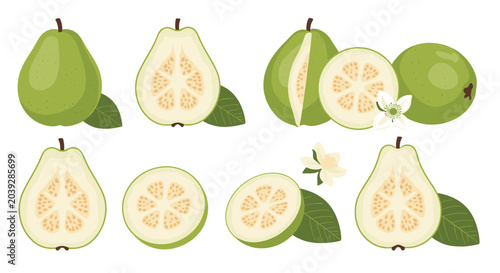 Detailed collection of whole, half, and sliced green guavas with white flowers and leaves for tropical fruit and healthy food design themes.
