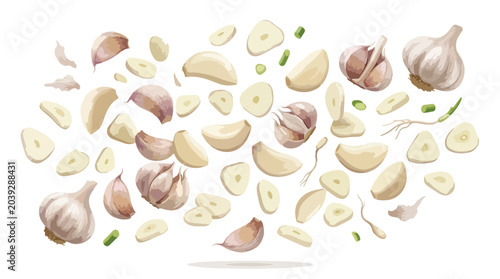 Konstfotografi Fresh garlic bulbs and flying garlic cloves, realistic vector illustration of sl