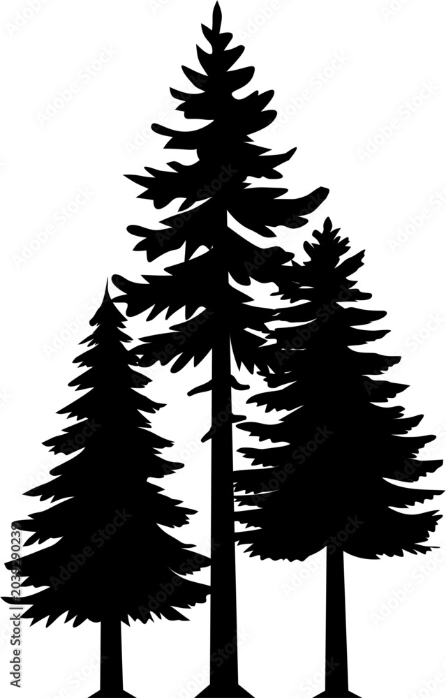 Obraz premium Pine Tree Silhouette Cluster