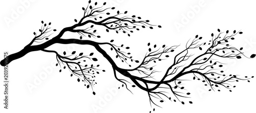 Silhouetted Branch with Small Leaves, Black and White