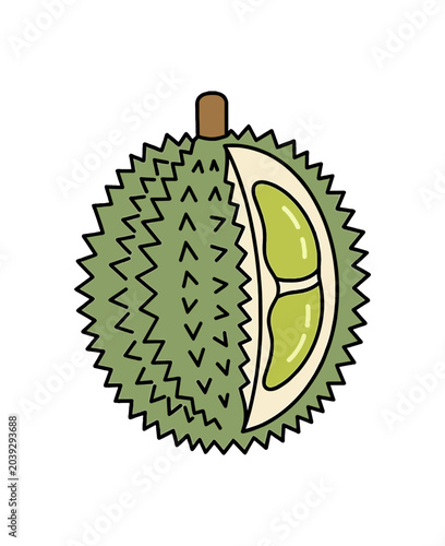 Illustration of a Durian Fruit with a Slice Removed.