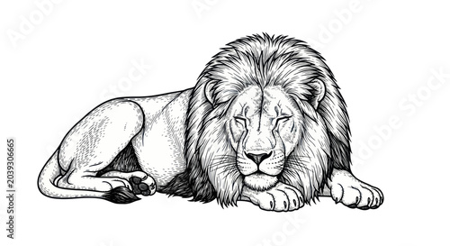 Foto Lion resting on the ground calmly.