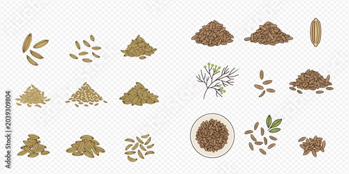 Fotografía Set of various spice seeds and grains including cumin, fennel, and dill, presented as individual piles and scattered arrangements on a transparent background