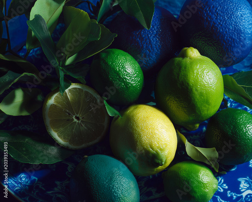 Assorted Citrus Fruits with Green Leaves on a Dark Blue Background