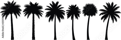 Collection of six distinct black silhouette palm trees with varied frond shapes and trunk.