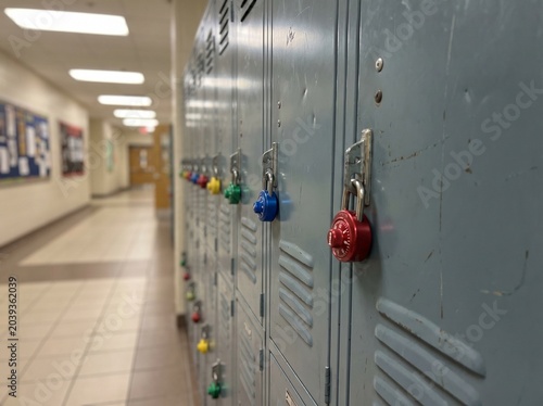 A long row of grey school lockers with colorful padlocks in a brightly lit institutional hallway.