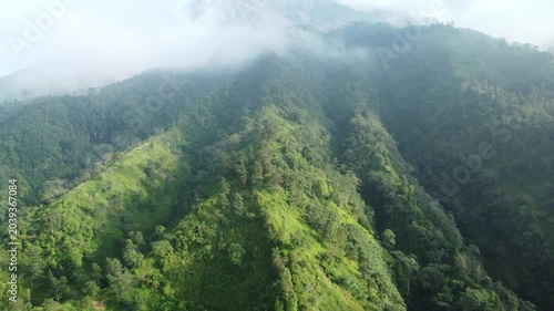 Tropical rainforest stretching across undulating hills, creating rich textures and a peaceful natural atmosphere.