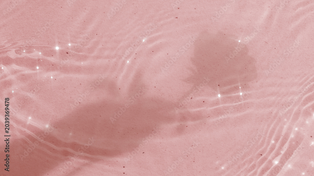 Fototapeta premium Pink pool water desktop wallpaper, rose flower shadow