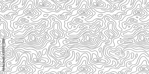 Canvas-taulu Topographic map pattern wallpaper whit high quality