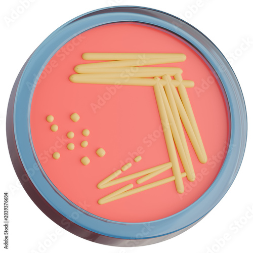 3d illustration of Petri Dish with Bacterial Agar Streak and Isolated Colonies for Microbiology Concept. 