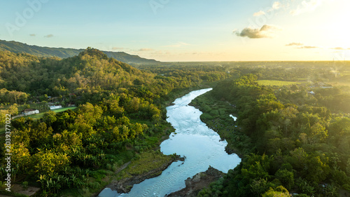 Golden aerial view of winding forest river