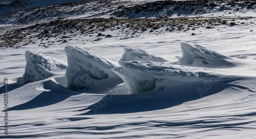 Wind sculpted ice formations in a frozen snow field