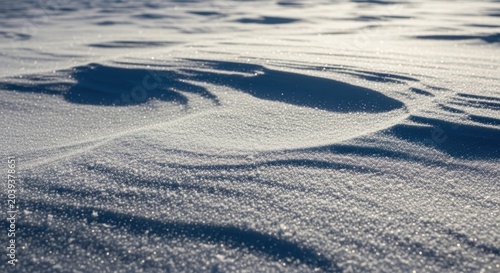 Sunlit snow field with dynamic shadows