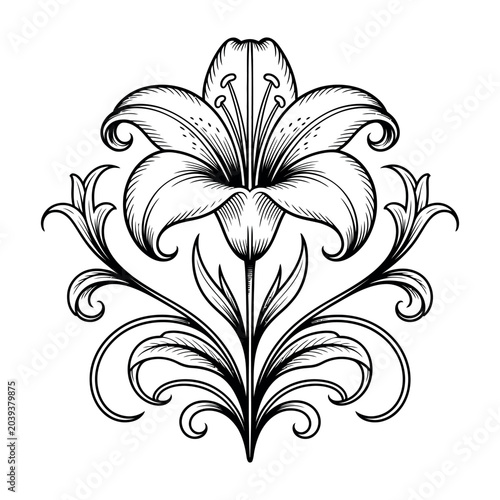 Lilly engraving vector illustrations art