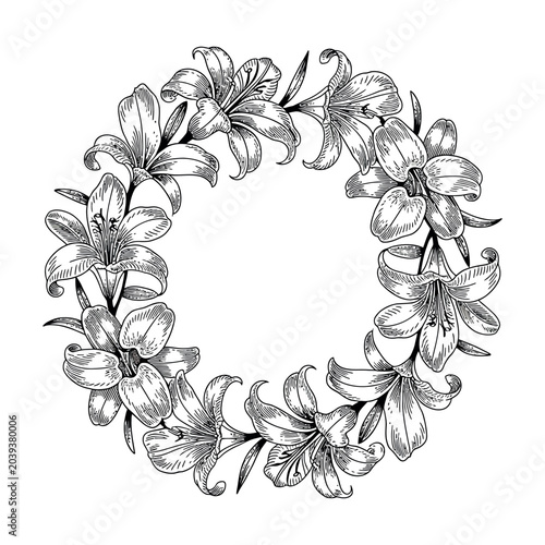 Lilly engraving vector illustrations art