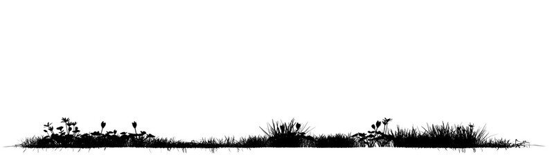 Wildflower grass silhouette border isolated on transparent background.