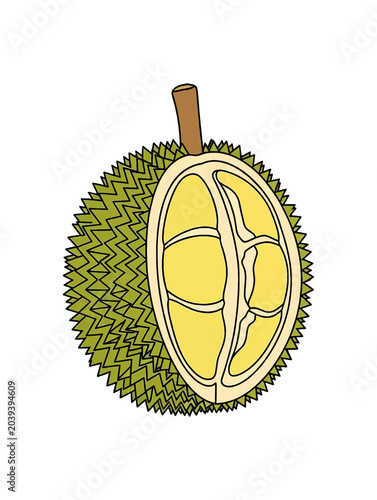 Exotic Durian Fruit Cut Open Showing Yellow Flesh.
