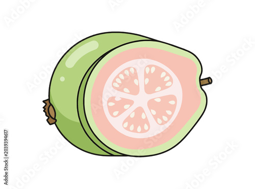 Fresh Pink Guava Fruit Half Cut Illustration.