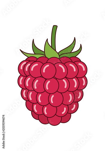 Illustration of a single ripe raspberry fruit.