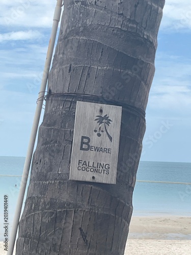 Warning sign beware of falling coconuts on wooden board