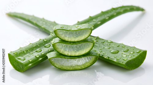 Fresh green aloe vera leaves and slices with water drops isolated on white background