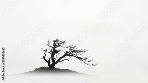 Elegant lone tree silhouette against a clean white background. Stark minimalist composition ideal for premium branding, wall art, and interior design.