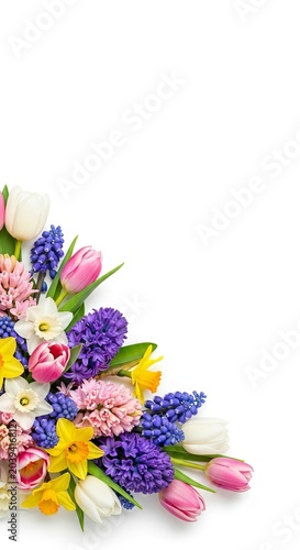 Vibrant Spring Flower Arrangement - Tulips, Hyacinths, and Daffodils on White.