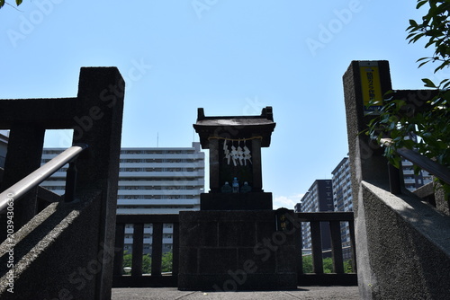 平井浅間神社の歴史ある石段と富士塚