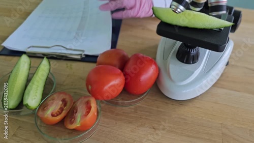 Research on food safety testing with tomatoes and cucumber under a microscope in a lab setting