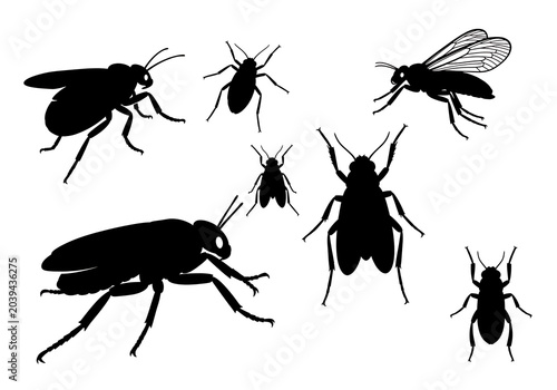 Black Insects Silhouettes on White Background