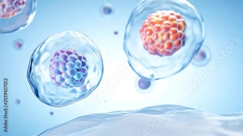 Microscopic view of biological cells floating in a fluid medium