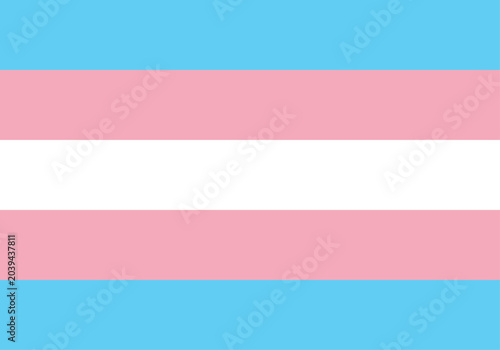 Bandera del orgullo transgénero con franjas horizontales en color azul celeste rosa y blanco