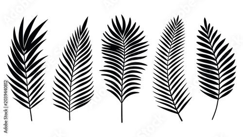 Black vector illustration set featuring five distinct tropical palm leaves for creative graphic design projects today