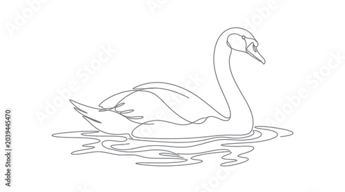 swan on water line drawing bird waterfowl