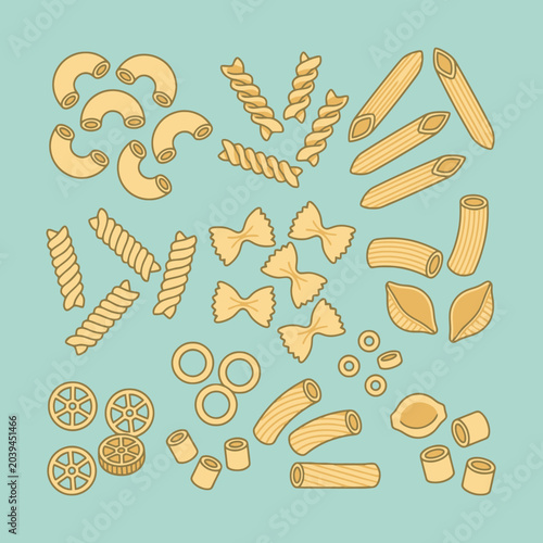 A collection of various dry pasta shapes on a light background
