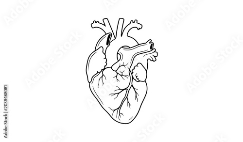 Fotografie Minimal Anatomical Heart Tattoo Vector Illustration Black Line Art Isolated on W