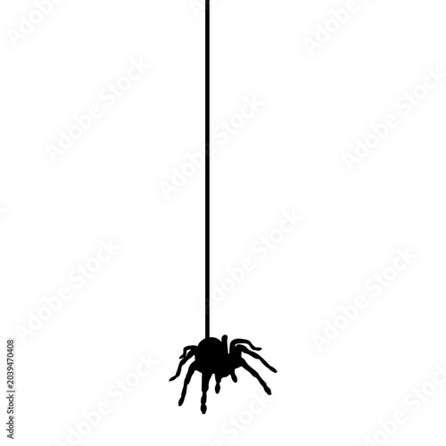 Halloween Spider Hanging