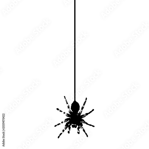 Halloween Spider Hanging