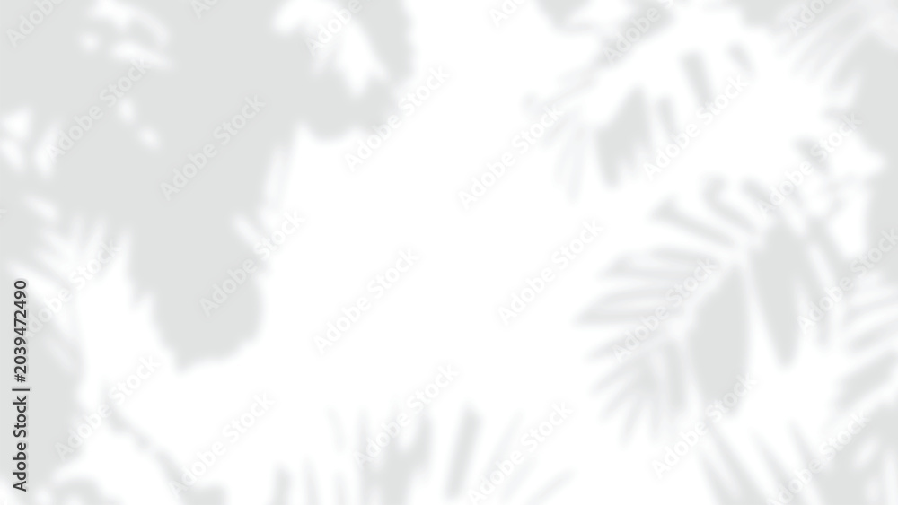 Obraz premium Palm leaf shadow overlay PNG, tropical fronds framing center on transparent background for mockups and branding