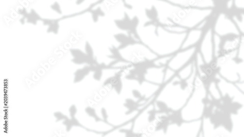 Foto Dappled light filters through branches, casting leaf shadows diagonally across the wall