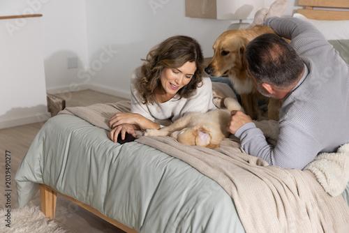 Couple lying on bed petting two golden retrievers on light gray green duvet, smartphone nearby
