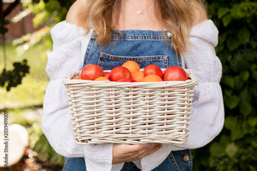 Quadro su tela Healthy homegrown tomato collection in rustic basket for natural nutrition