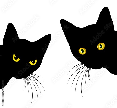 The Predatory home black cats silhouettes.