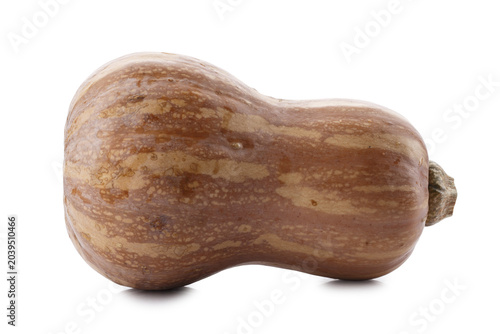 Pumpkin Butternut Squash isolated on a white background