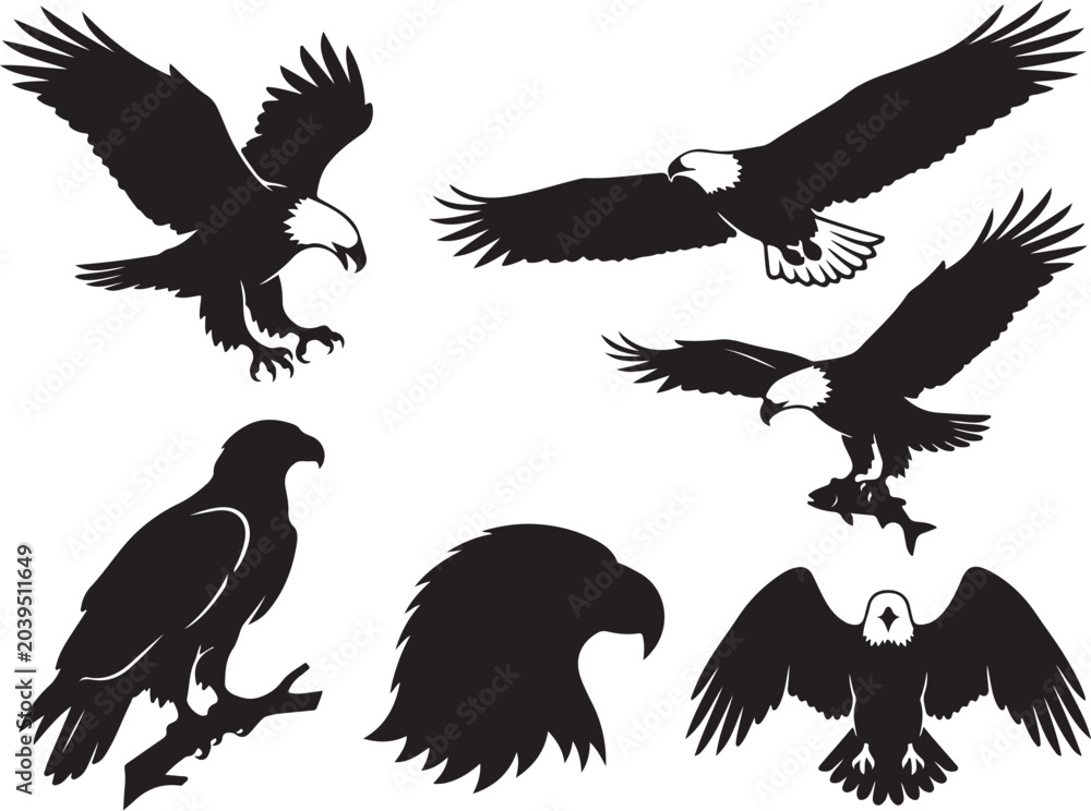Obraz premium Black eagle silhouettes, flying birds, wildlife icons, vector graphics