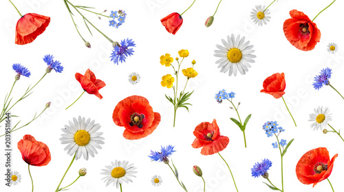 Photos Wildflower medley with poppies, daisies, cornflowers, and forget-me-nots, isolated on transparent