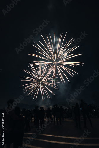 Obraz na plátně Pluie d'étincelles dorées du feu d'artifice du 14 juillet, Lille, France