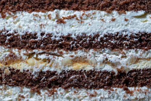 Bild auf Leinwand Chocolate sponge cake cross section layers texture macro