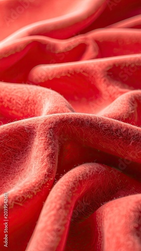 Close-up view of velvety red fabric texture with deep folds and highlights.