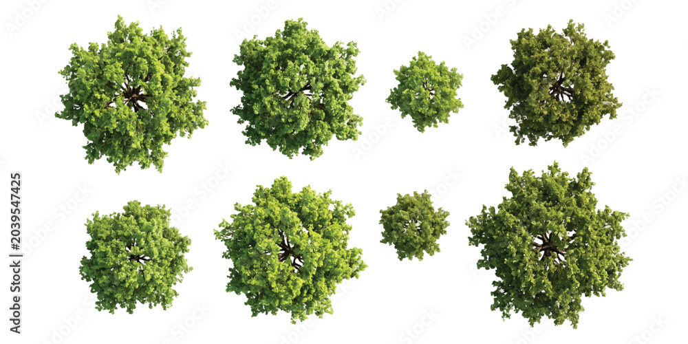 Obraz premium Set of green trees viewed from above for architectural design and landscape planning